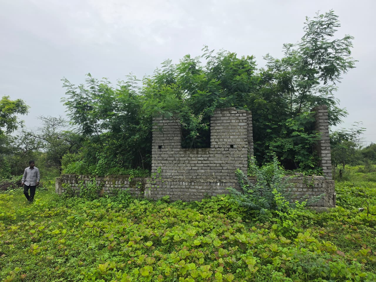 1672 square feet Plot for sale in CHANDRAPUR Chandrapur — photo 9