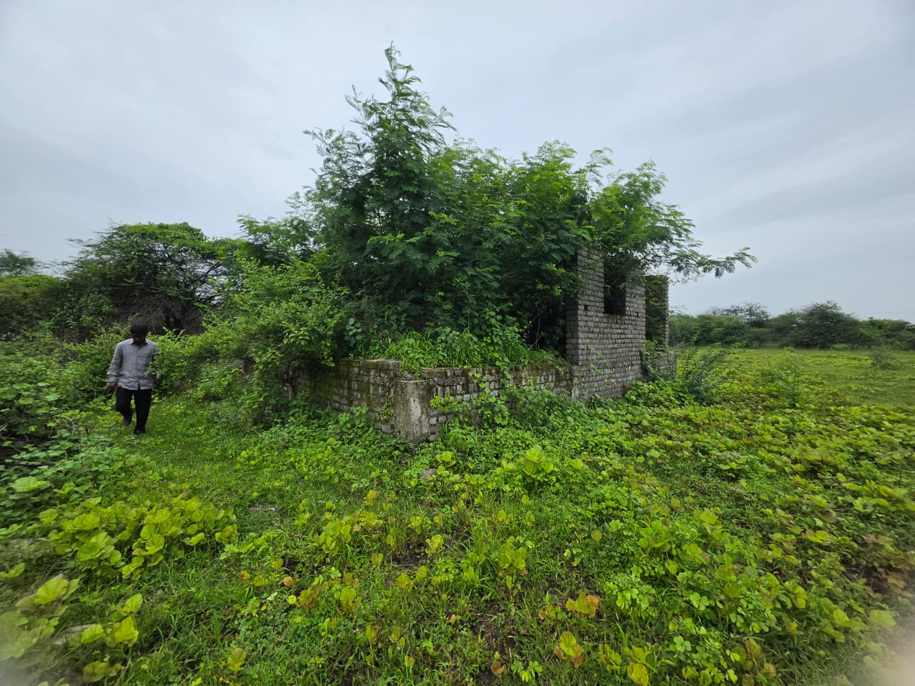 1672 square feet Plot for sale in CHANDRAPUR Chandrapur — photo 13