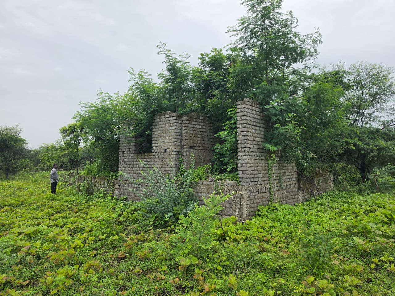 1672 square feet Plot for sale in CHANDRAPUR Chandrapur — photo 14