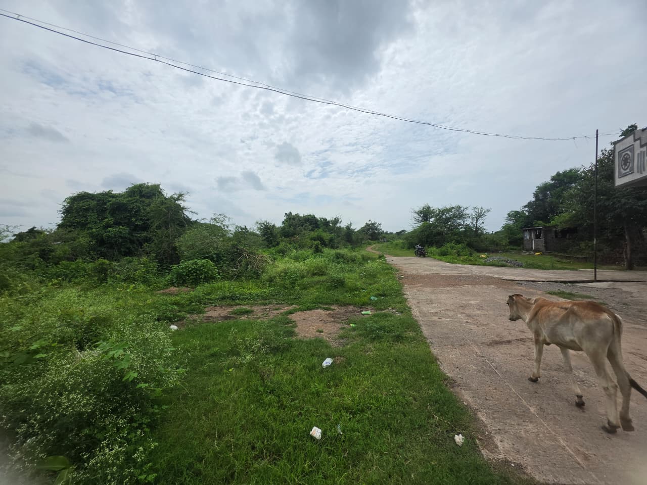 1614 square feet Plot for sale in KORPANA Ballarpur