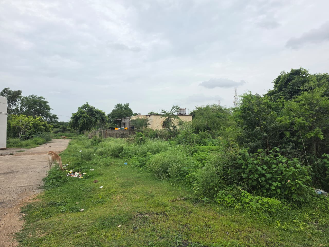 1614 square feet Plot for sale in KORPANA Ballarpur — photo 7