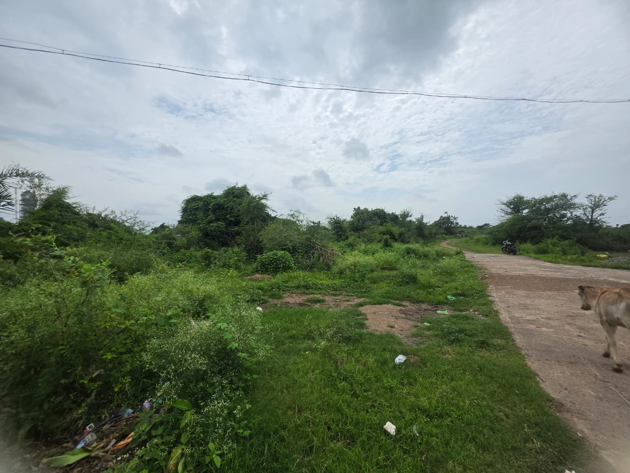 1614 square feet Plot for sale in KORPANA Ballarpur — photo 9