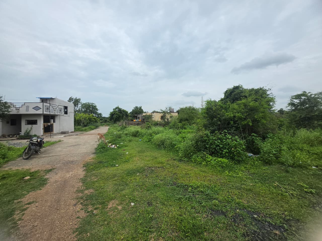 1614 square feet Plot for sale in KORPANA Ballarpur — photo 10