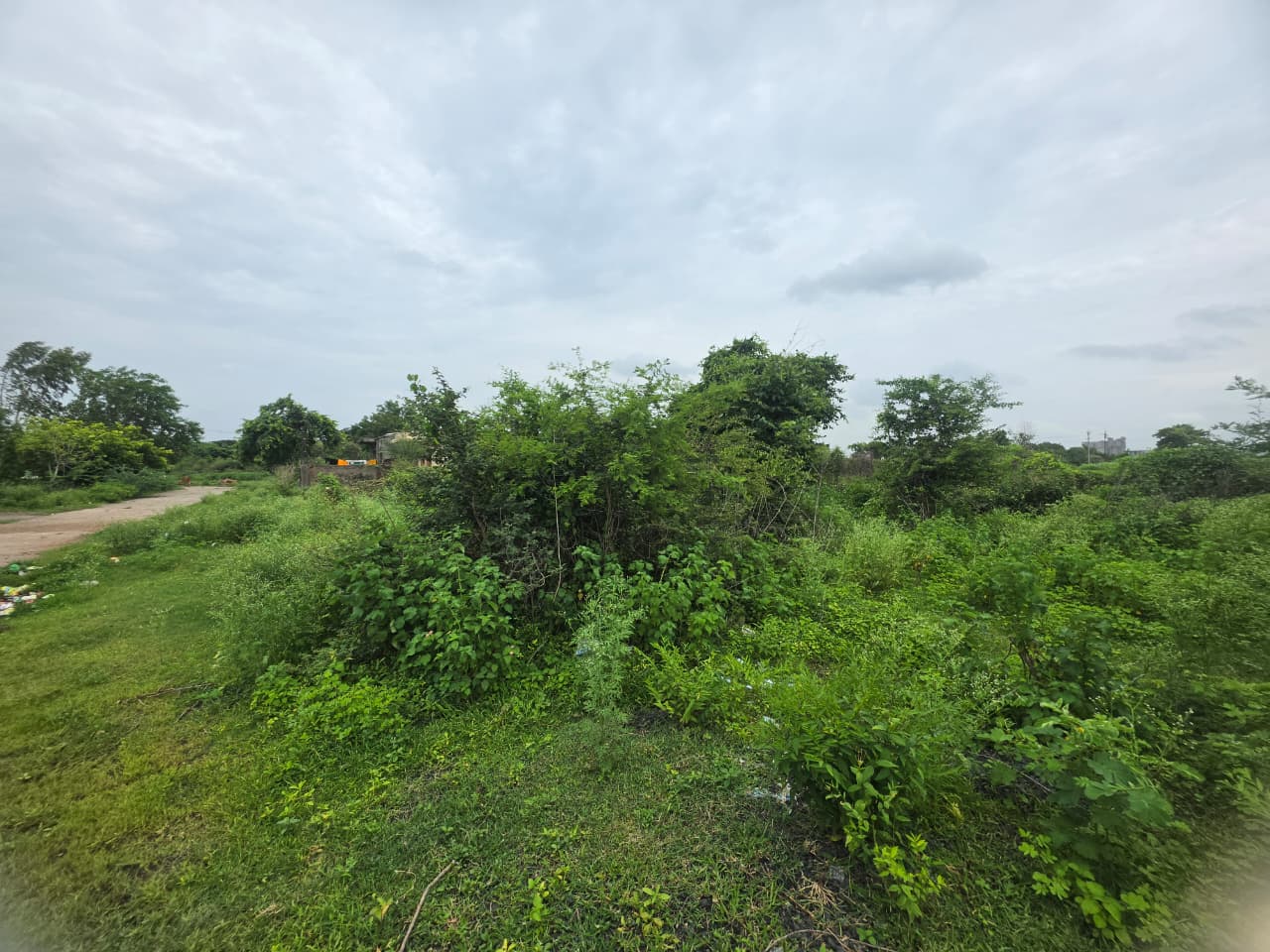 1614 square feet Plot for sale in KORPANA Ballarpur — photo 14