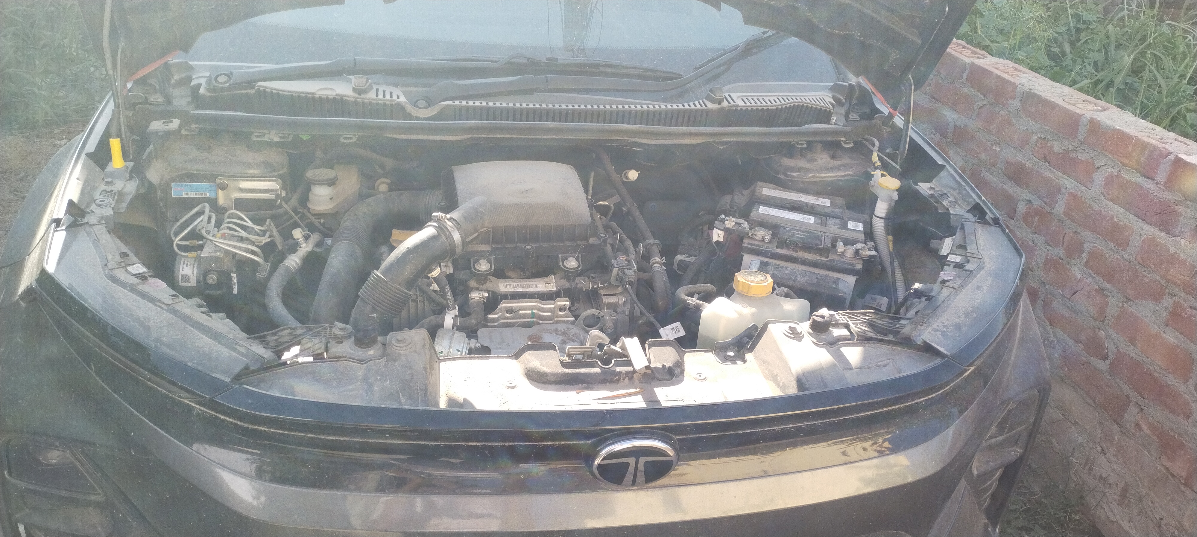 2024 Tata Nexon Creative+ SUV 5000 km 2 years for sale in AJAY KUMAR Patna — photo 8