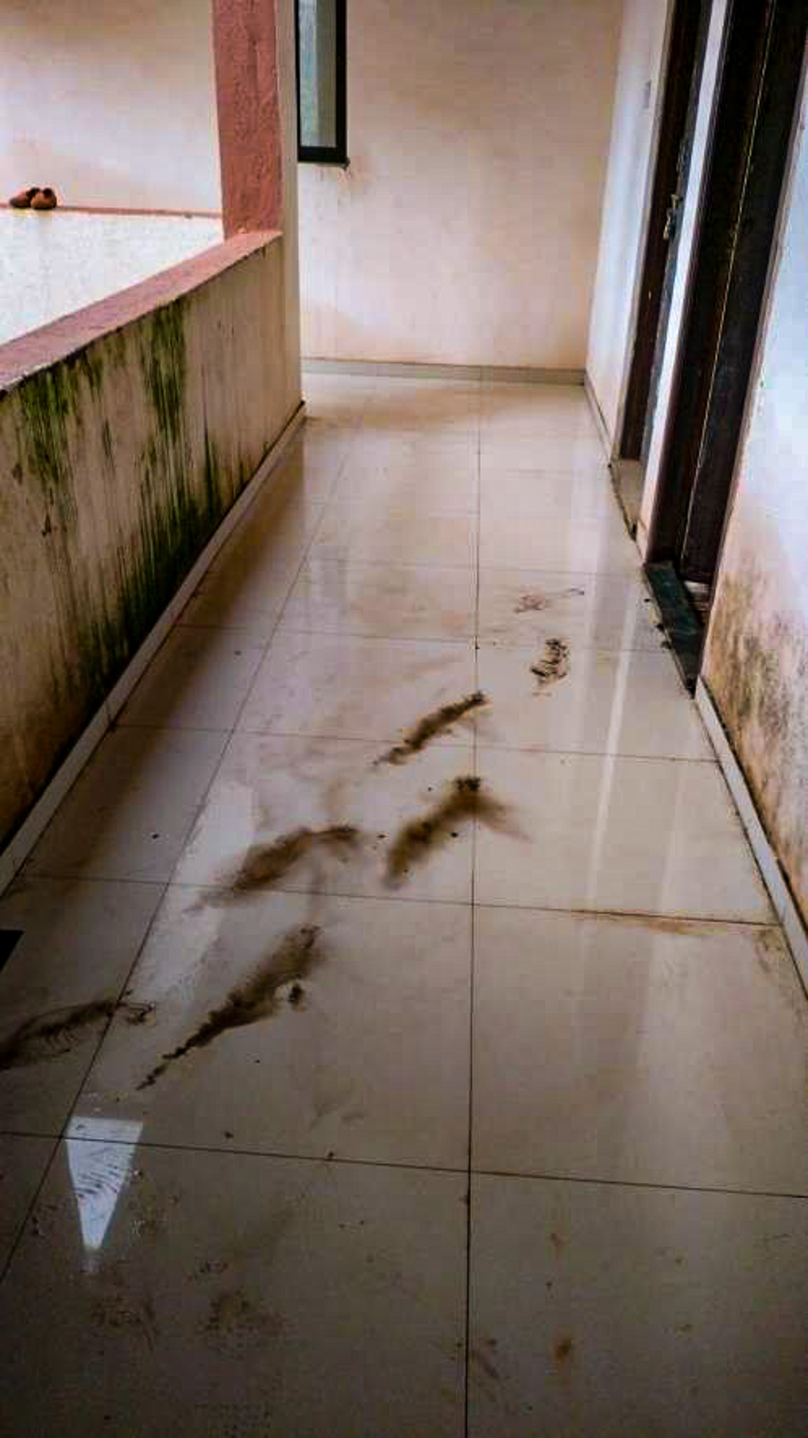 362 square feet Flat for sale in Vill- Chandrapara Vasai Virar — photo 3