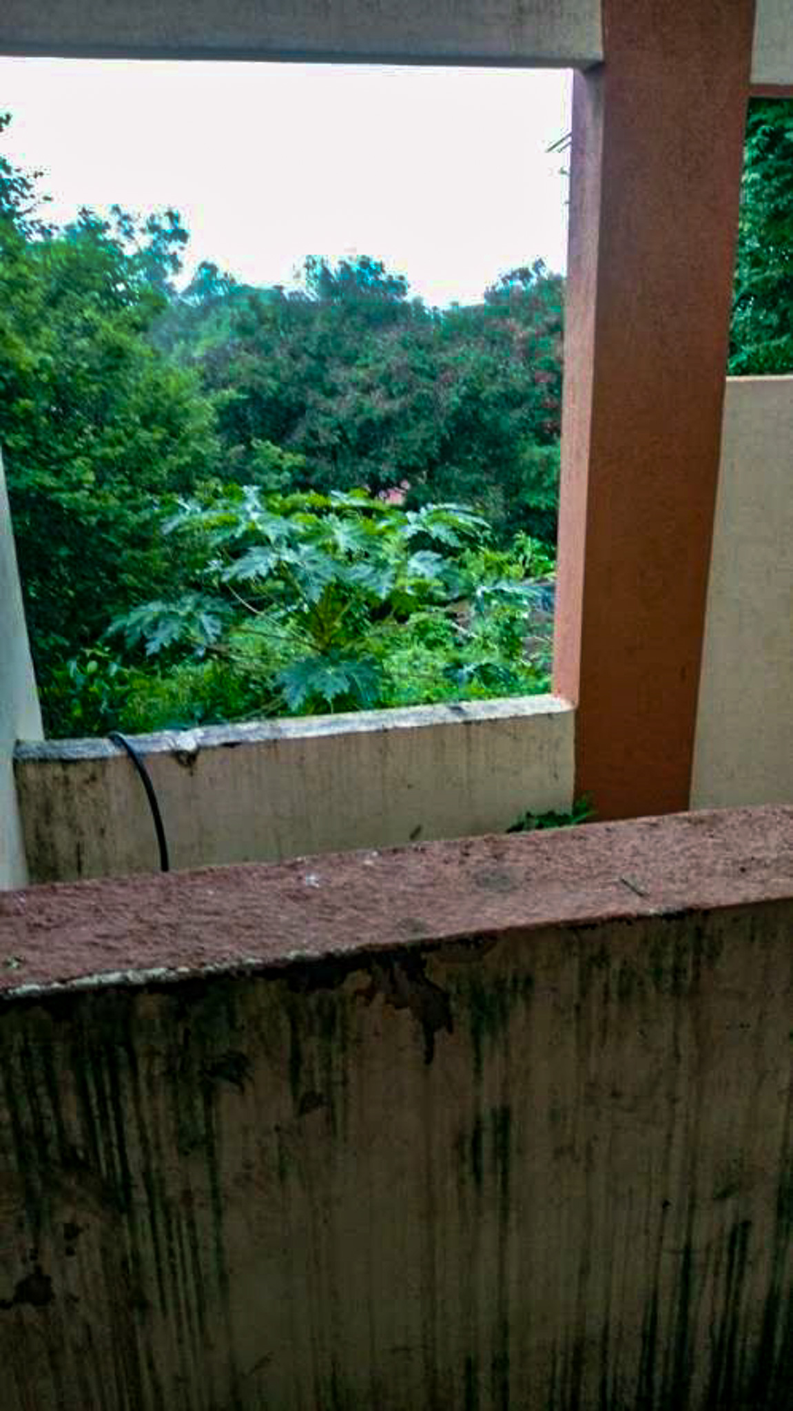 362 square feet Flat for sale in Vill- Chandrapara Vasai Virar — photo 7