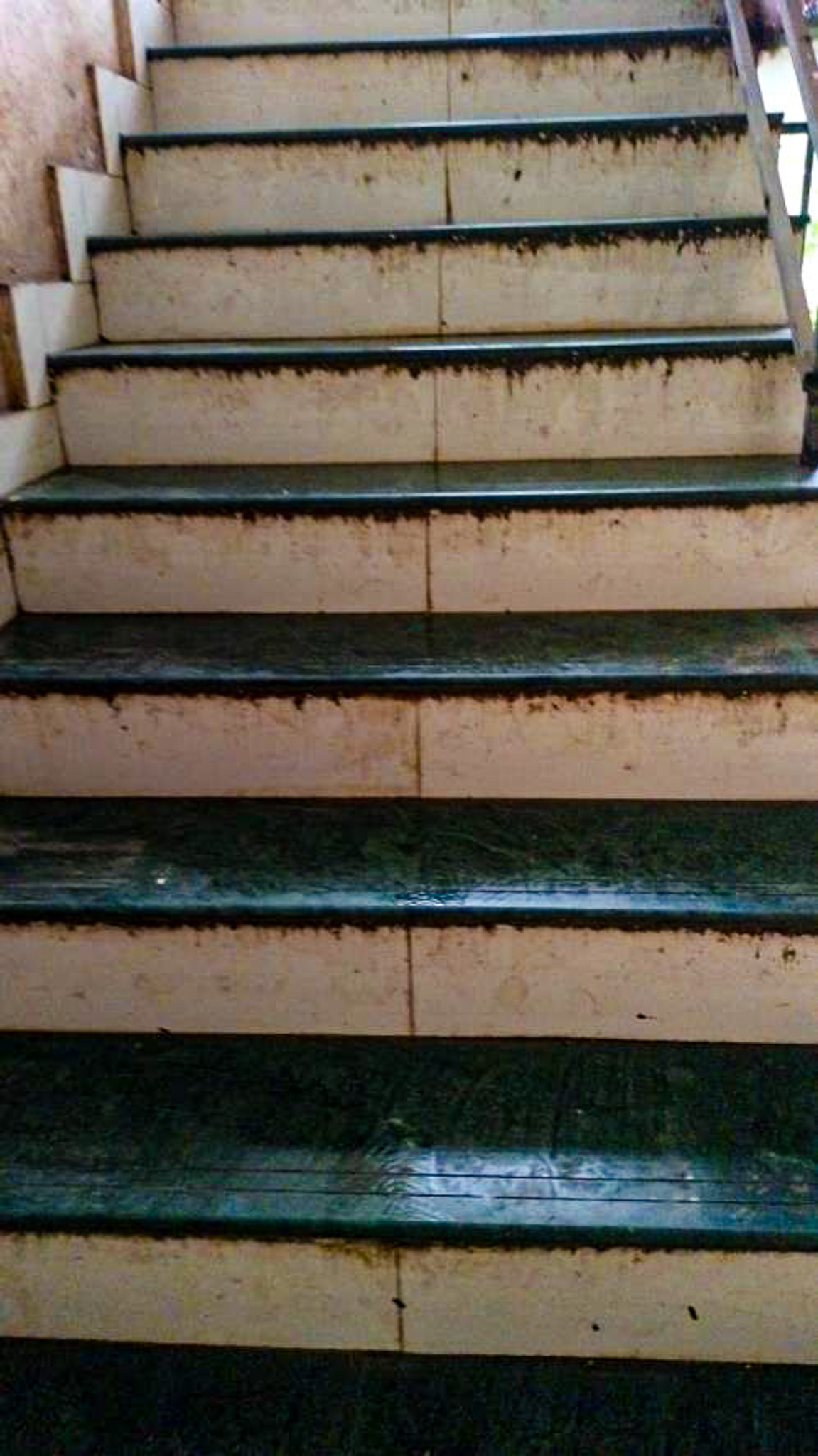 362 square feet Flat for sale in Vill- Chandrapara Vasai Virar — photo 19