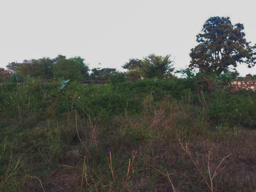Industrial Shed for sale in Near Model School, Gram Amarpura, Tehsil Gangrar Distt. Chittorgarh-312901 Industrial Area Soniyana — photo 4