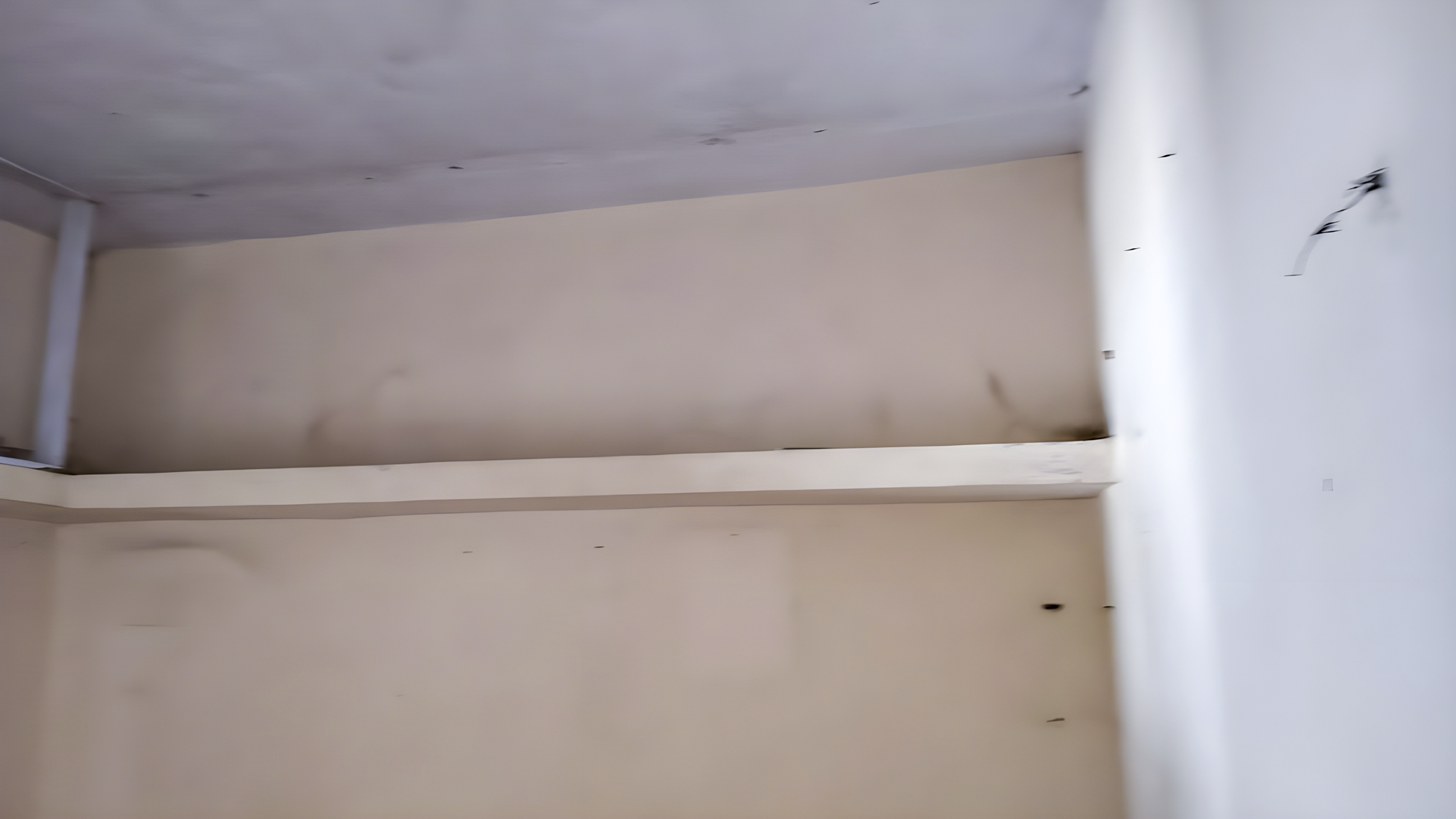 42.68 square meter Individual House for sale in Surat — photo 13