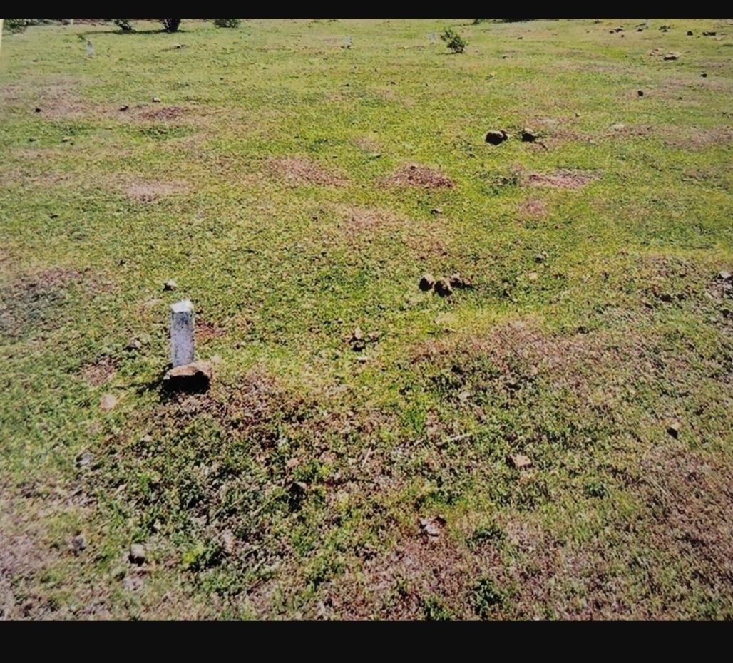 Industrial Plot for sale in Kolki