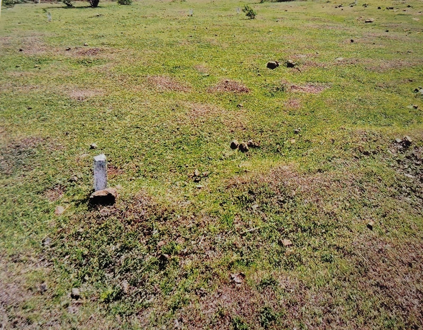 Industrial Plot for sale in Kolki — photo 3