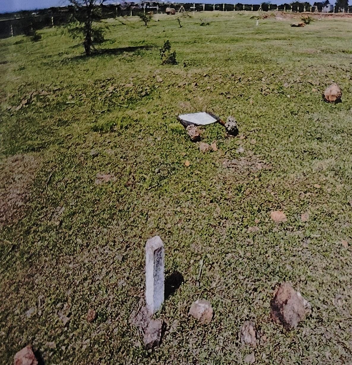 Plot for sale in Kolki