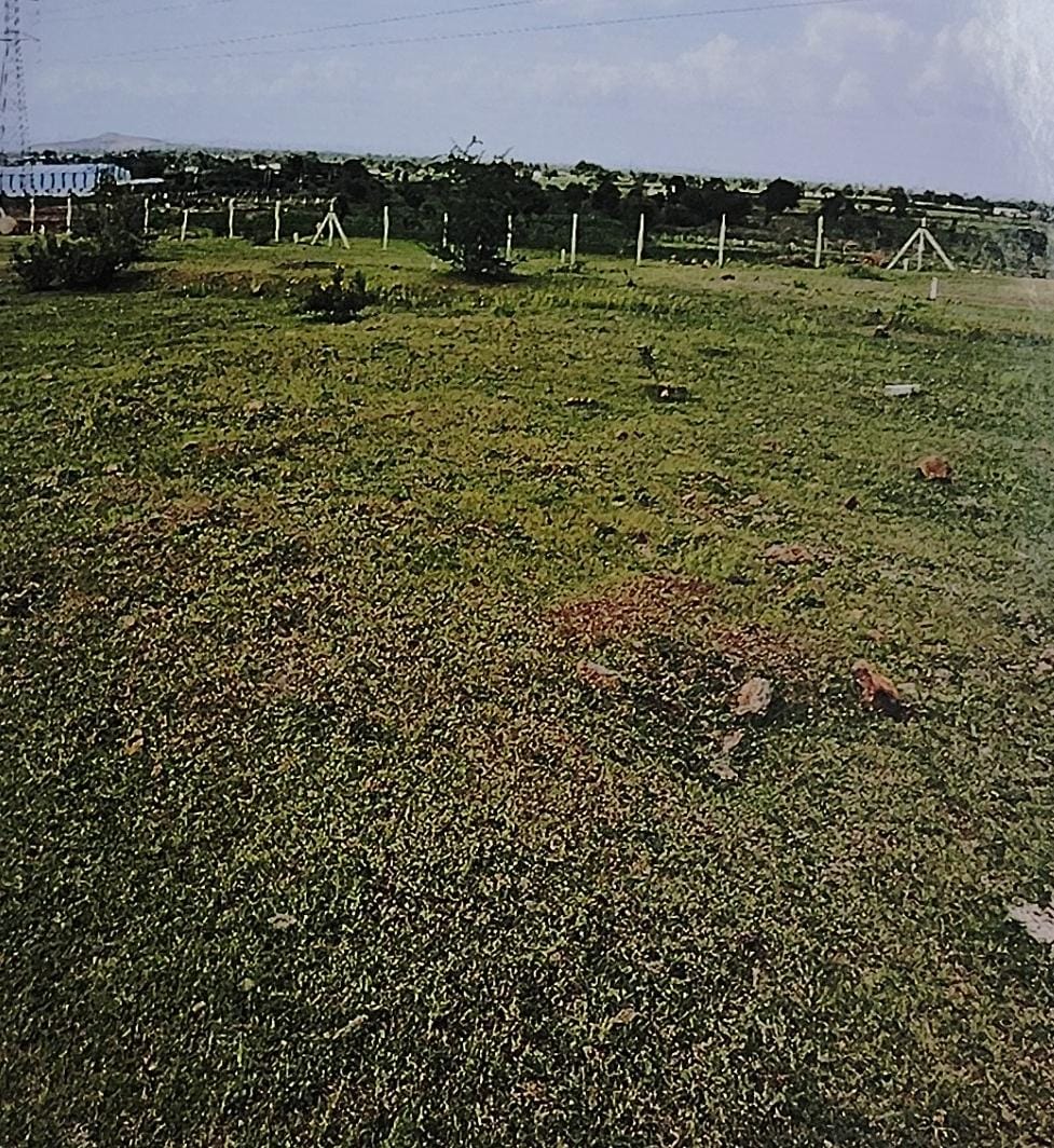 Plot for sale in Kolki