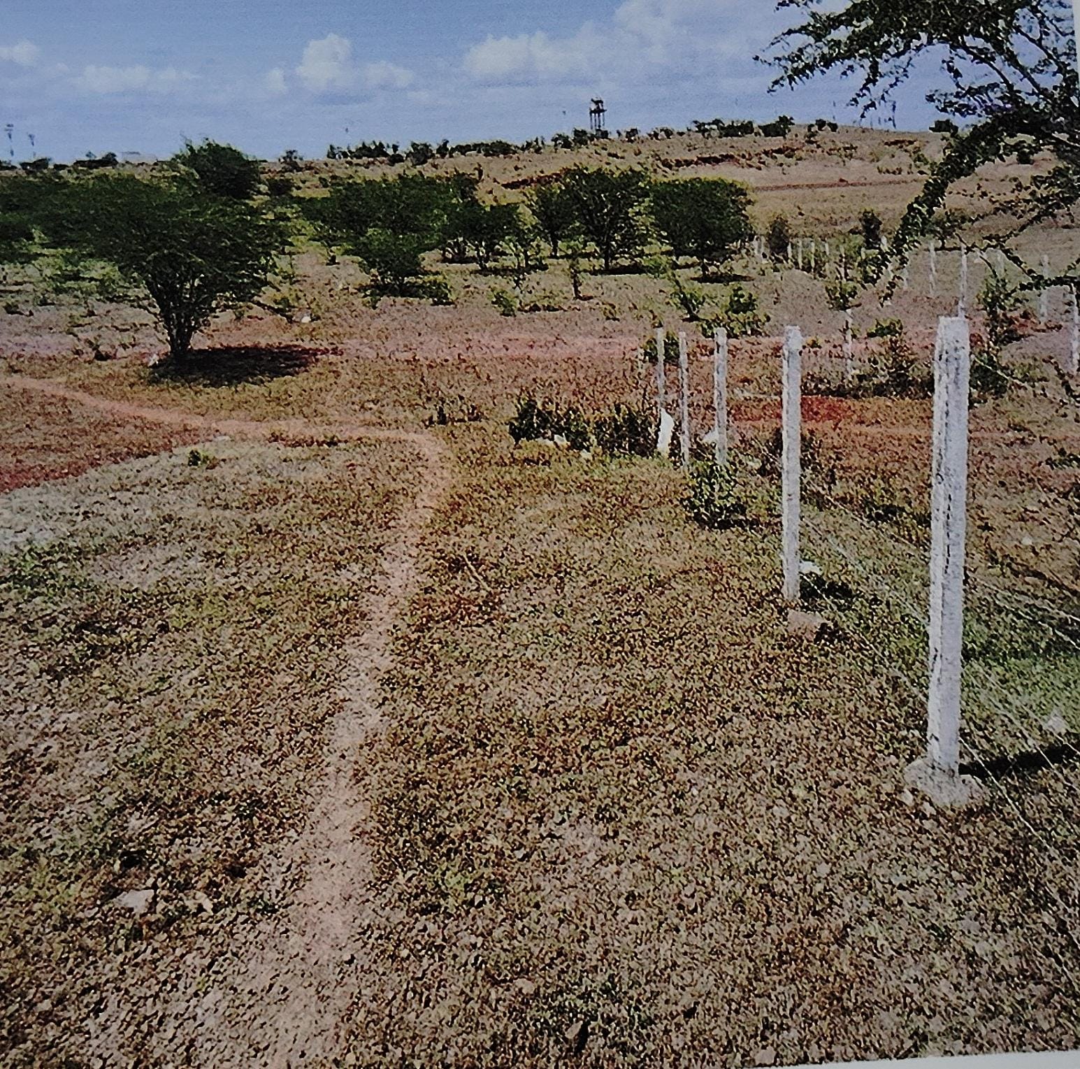 Plot for sale in Kolki — photo 2