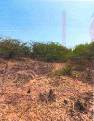 166.03 square meter Plot for sale in Jalalpore — photo 3