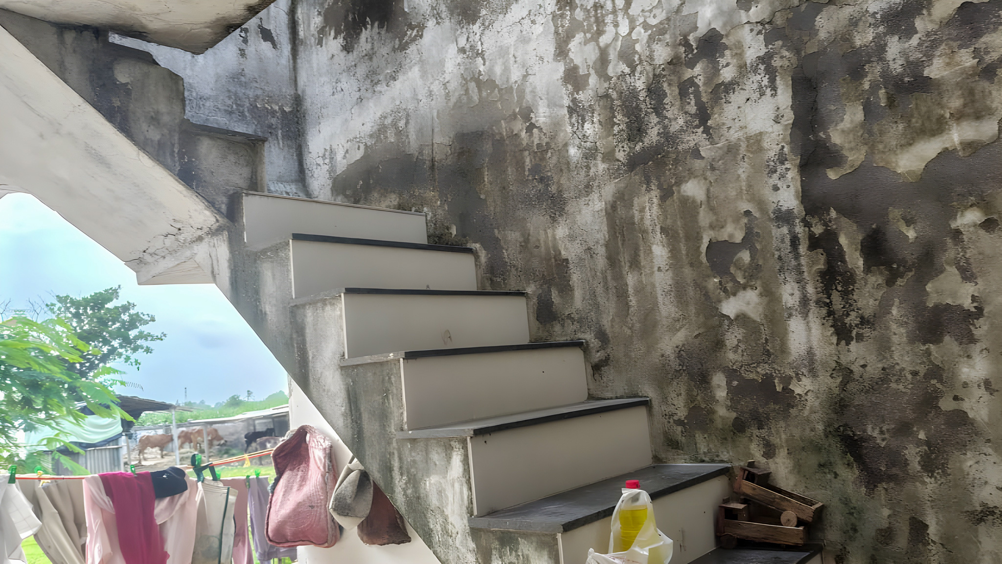 Flat for sale in Surat — photo 14