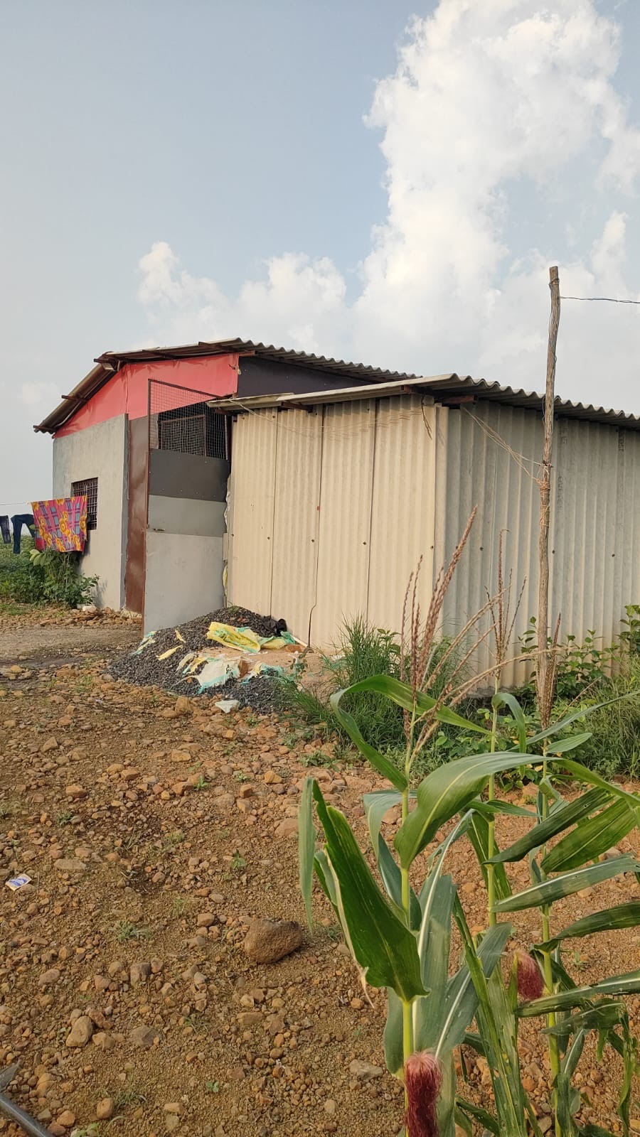 Plot for sale in Rajgarh — photo 1