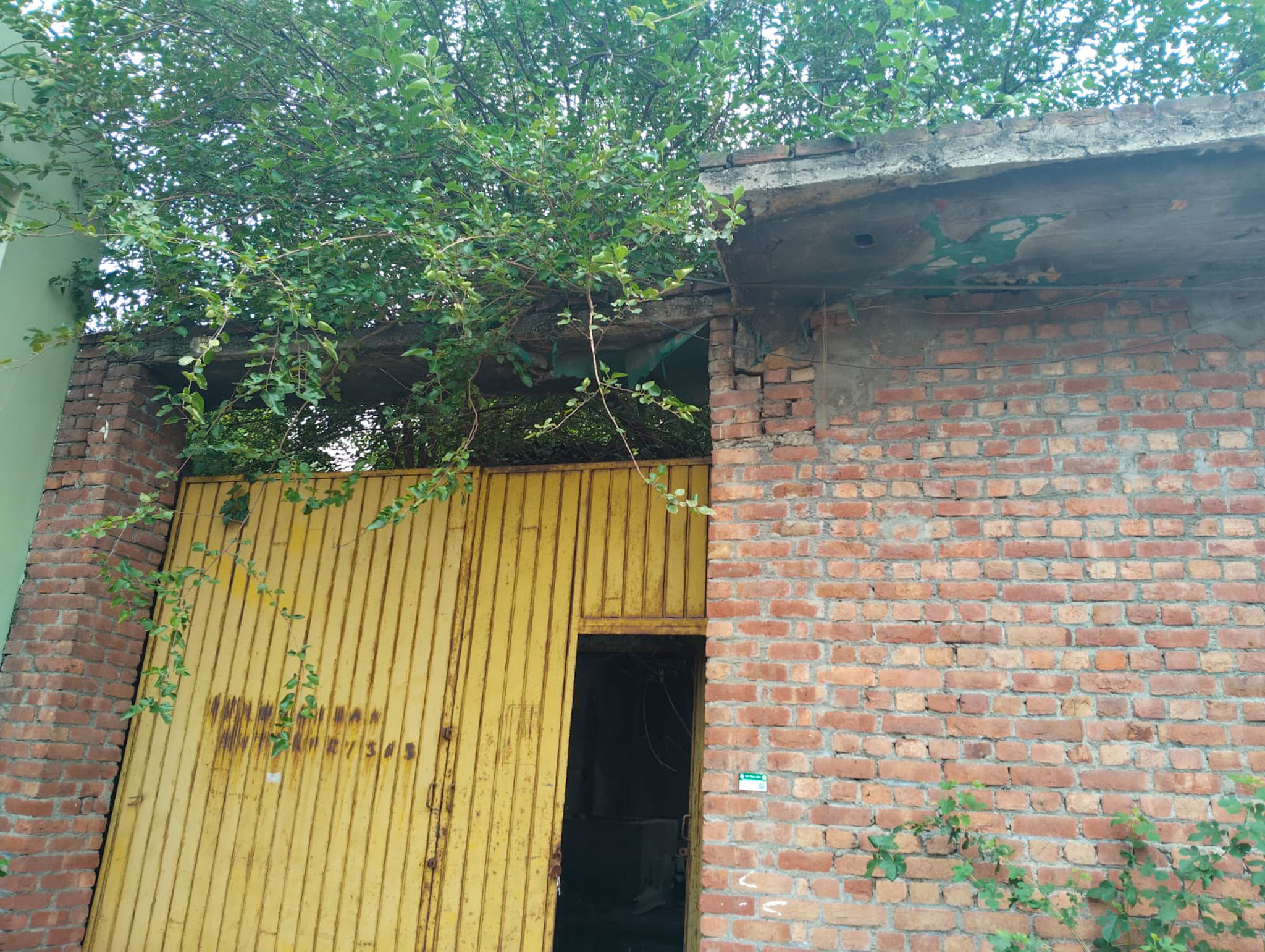 Individual House for sale in Jalandhar — photo 10
