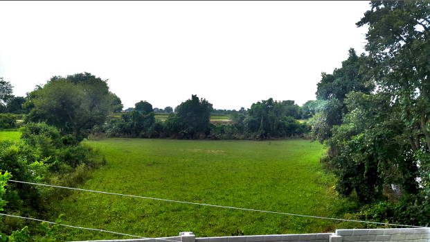 OPEN LAND for sale in DATIA Datia — photo 1
