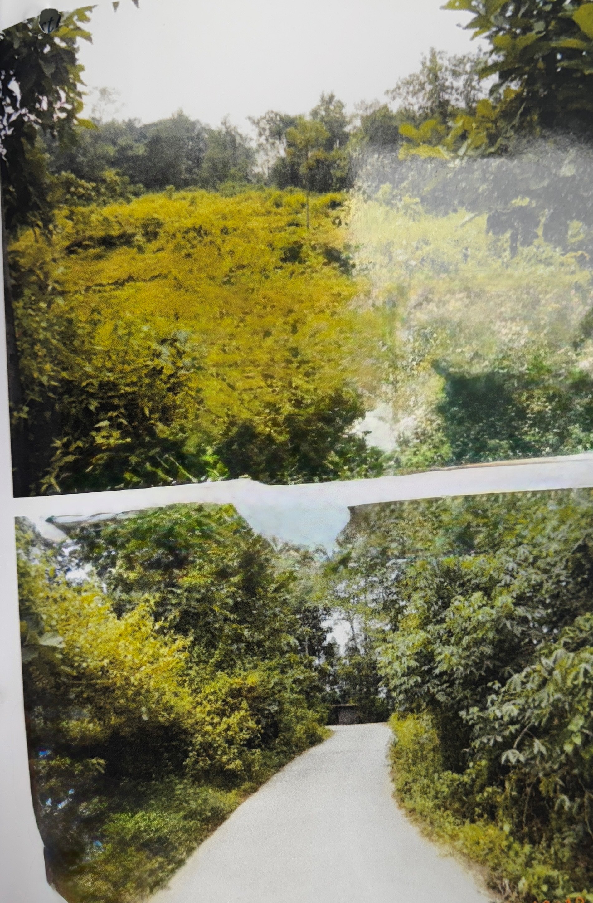 Plot for sale in Vengoor West Village Chelamattom — photo 1