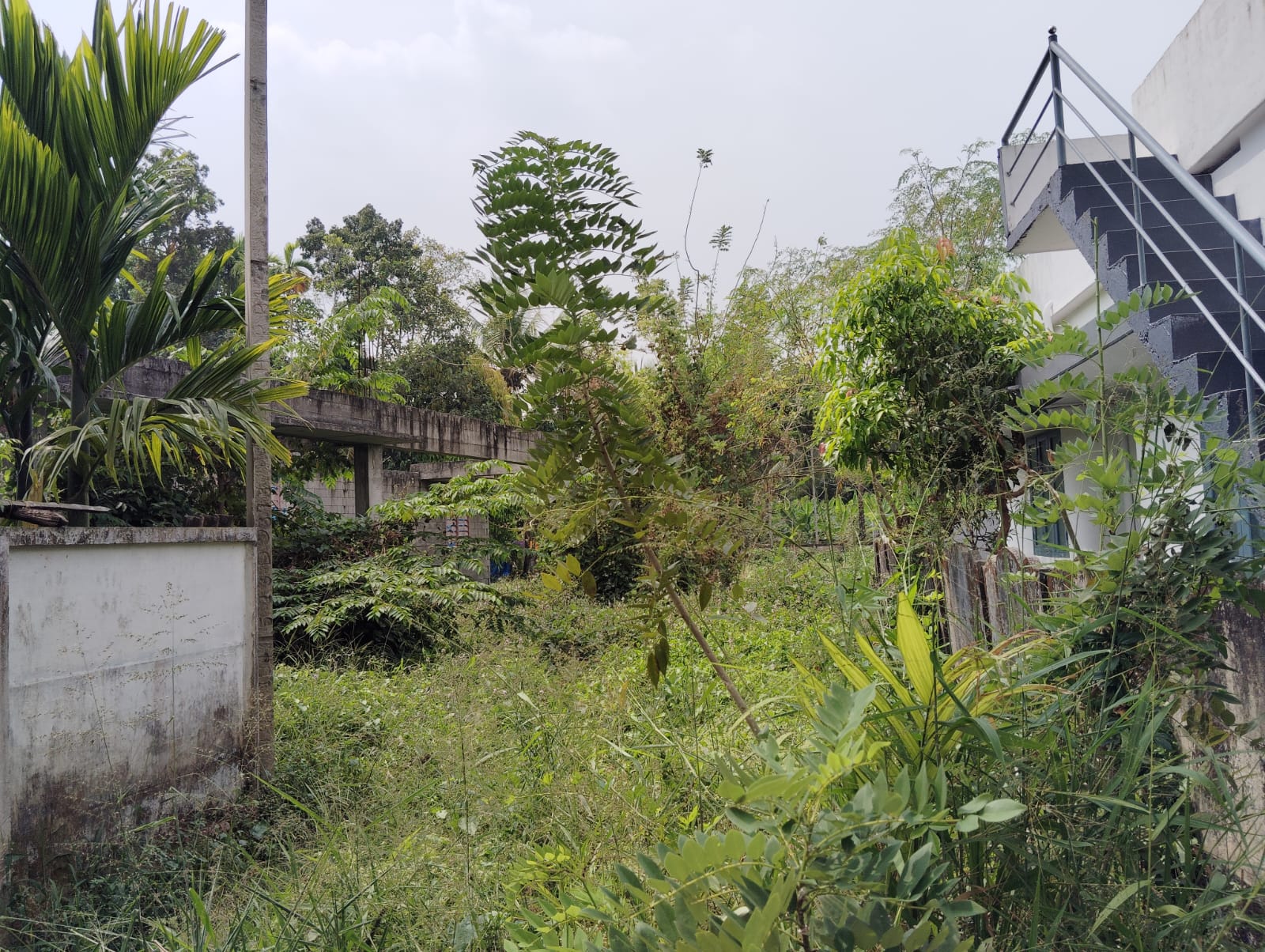 364 square meter Individual House for sale in ALANGAD VILLAGE,PARAVUR TALUK,ERNAKULAM DISTRICT Alangad — photo 2