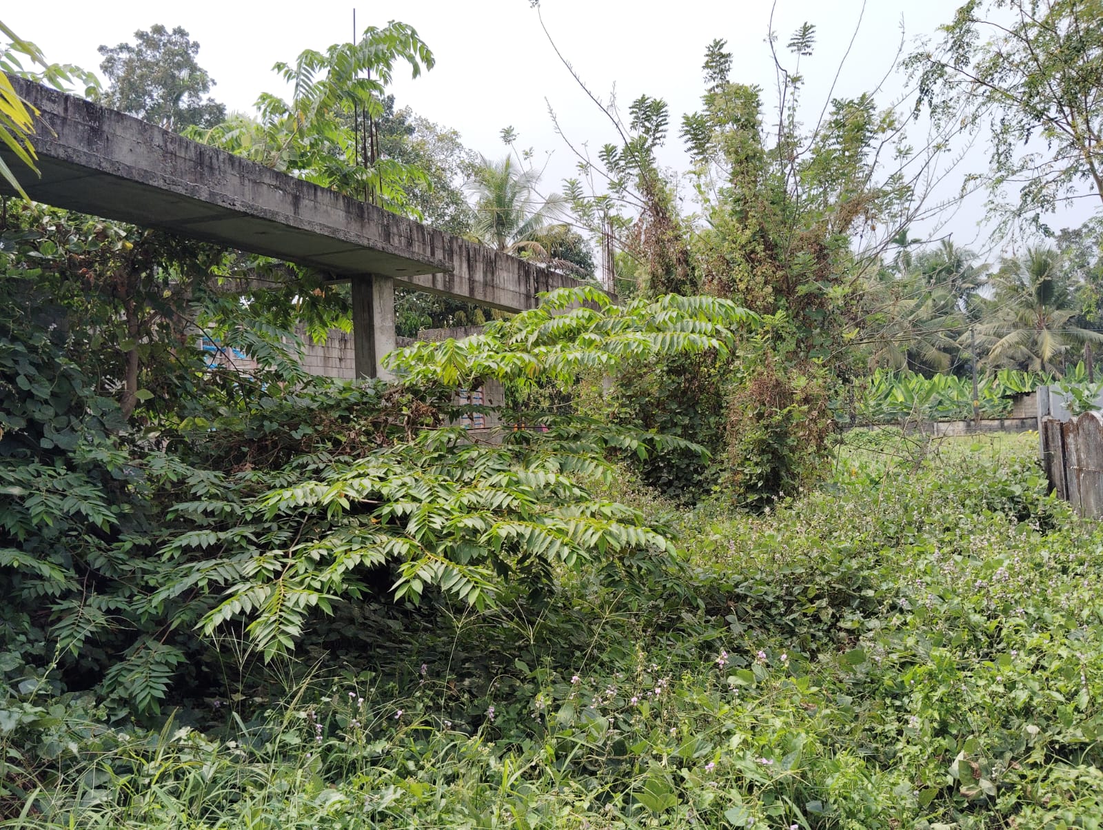 364 square meter Individual House for sale in ALANGAD VILLAGE,PARAVUR TALUK,ERNAKULAM DISTRICT Alangad — photo 1