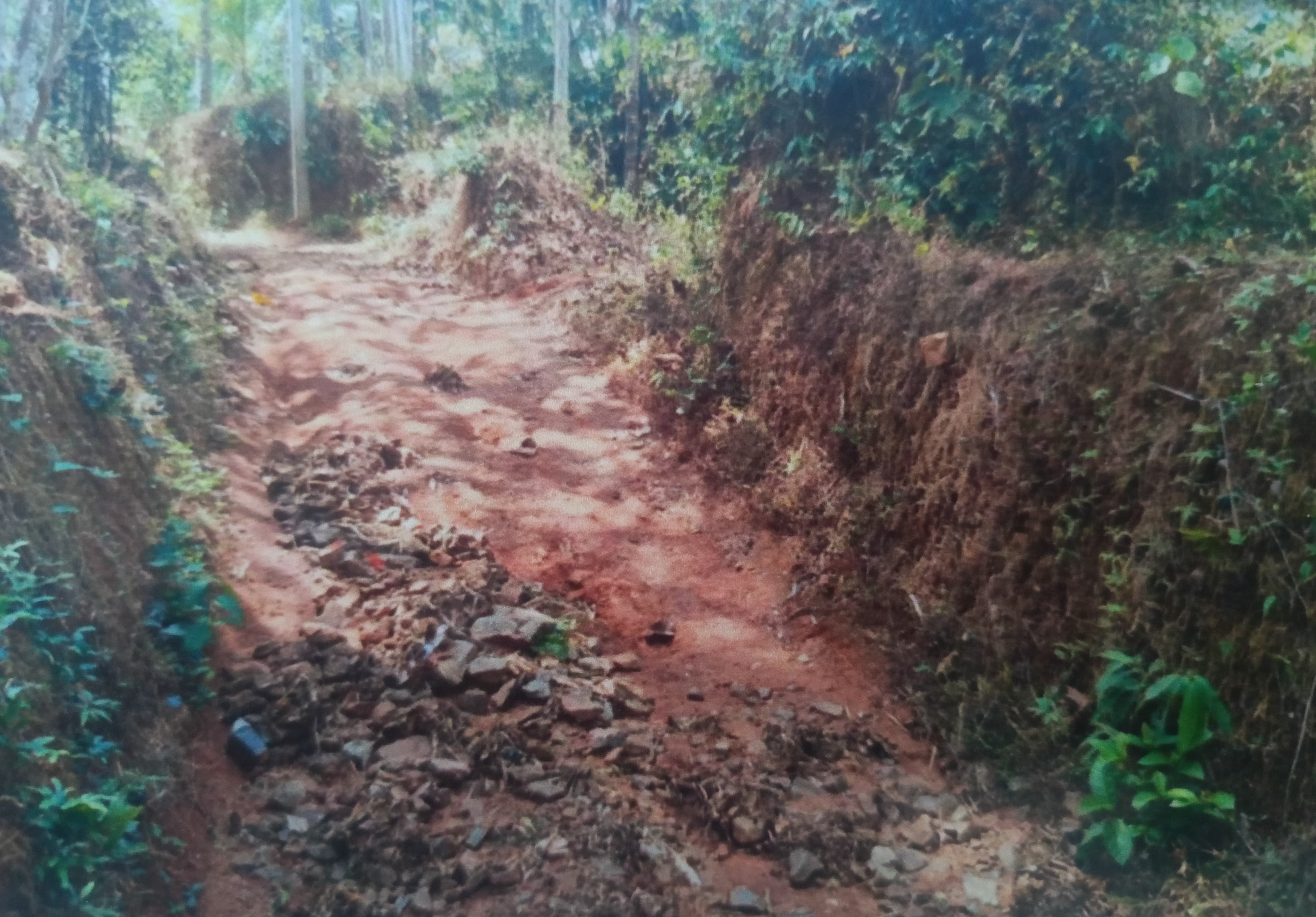 Plot for sale in Mavoor — photo 4