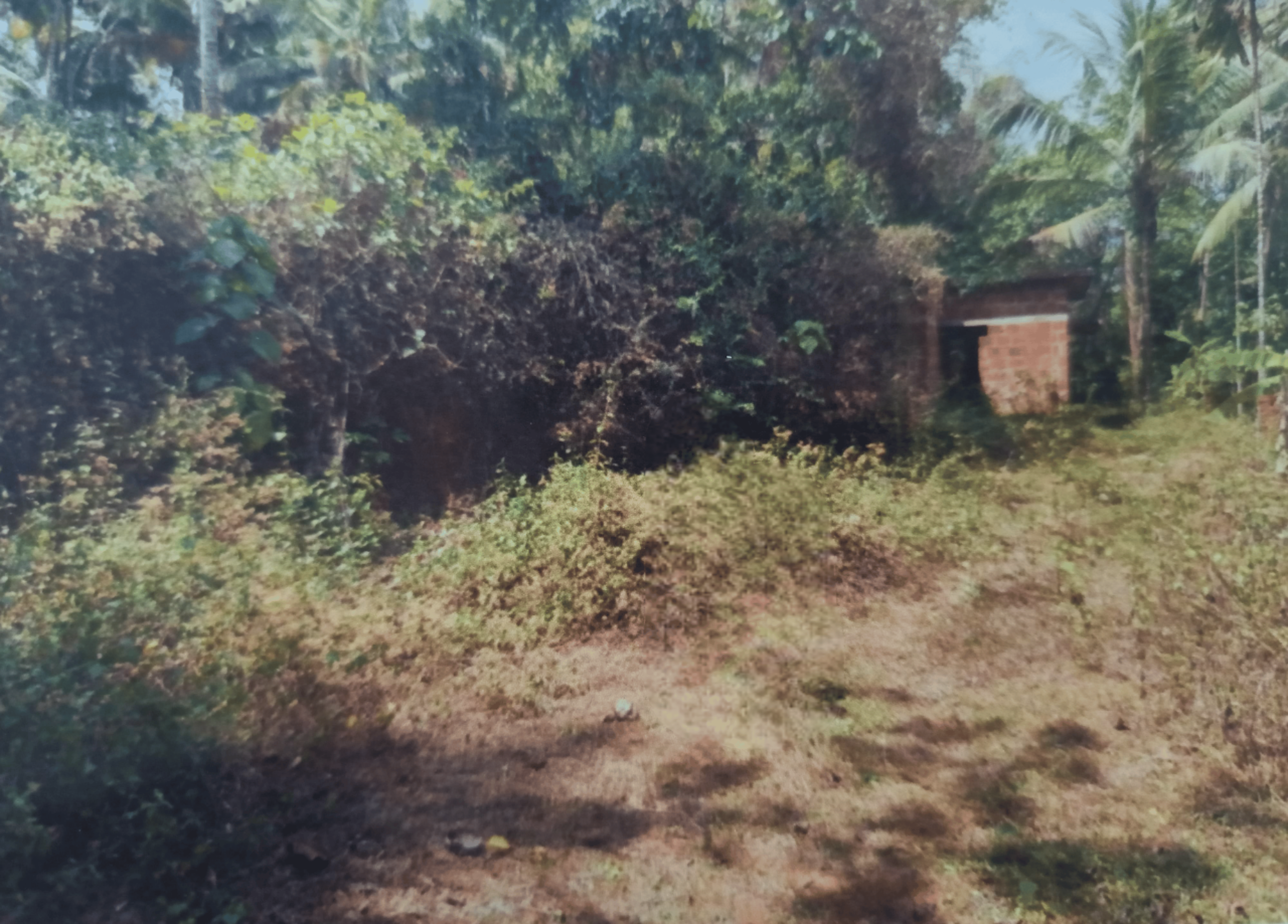 Plot for sale in Mavoor — photo 5