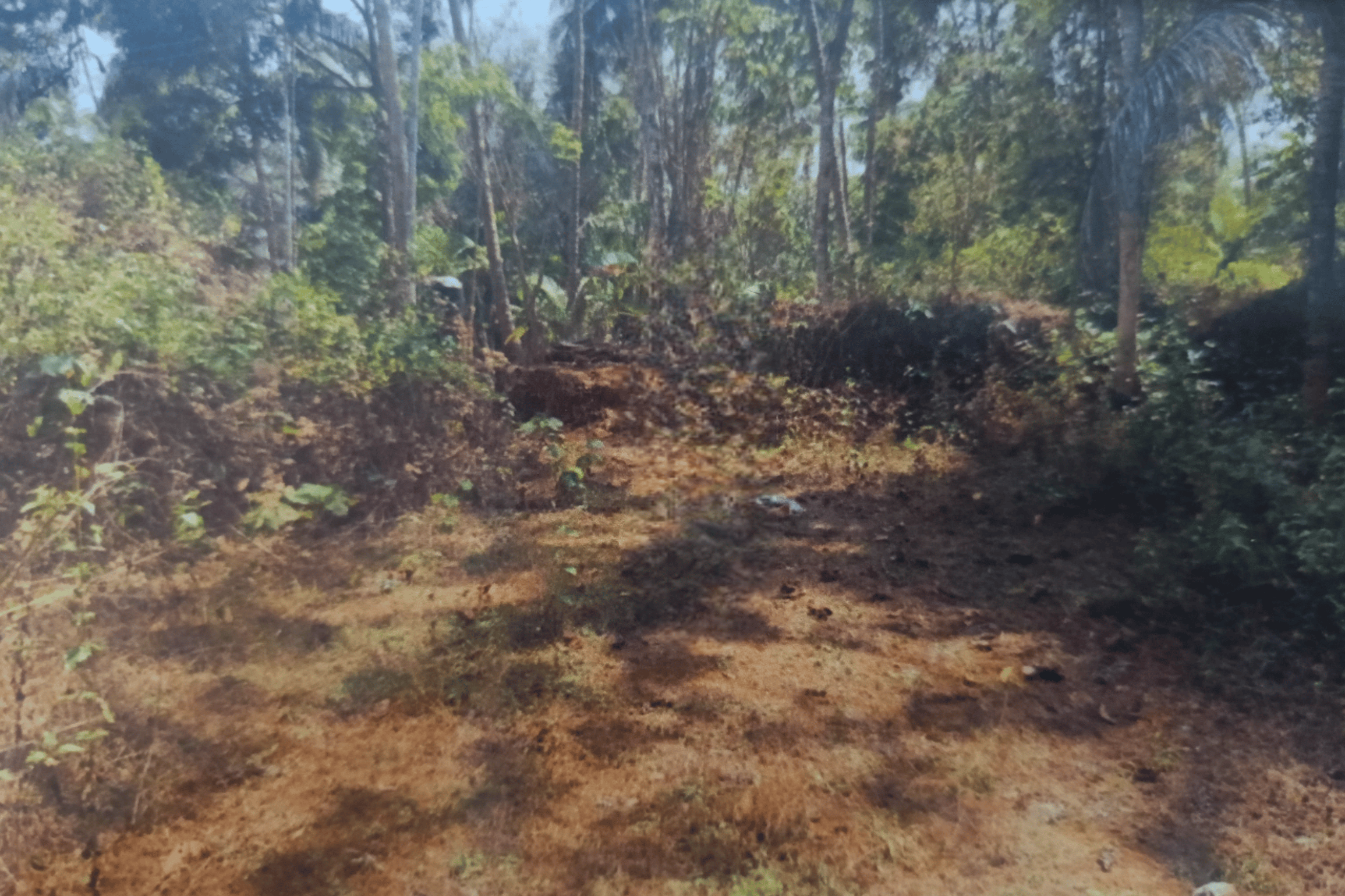 Plot for sale in Mavoor — photo 3