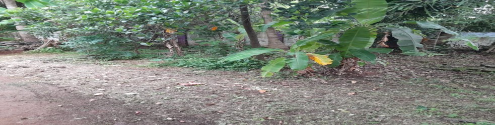 2831 square feet Plot for sale in Palakkad
