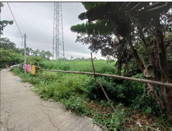 VACANT LAND for sale in CHAMPAPUKUR , BASIRHAT NORTH 24 PGS 743291 Basirhat