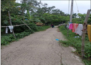 VACANT LAND for sale in CHAMPAPUKUR , BASIRHAT NORTH 24 PGS 743291 Basirhat — photo 2