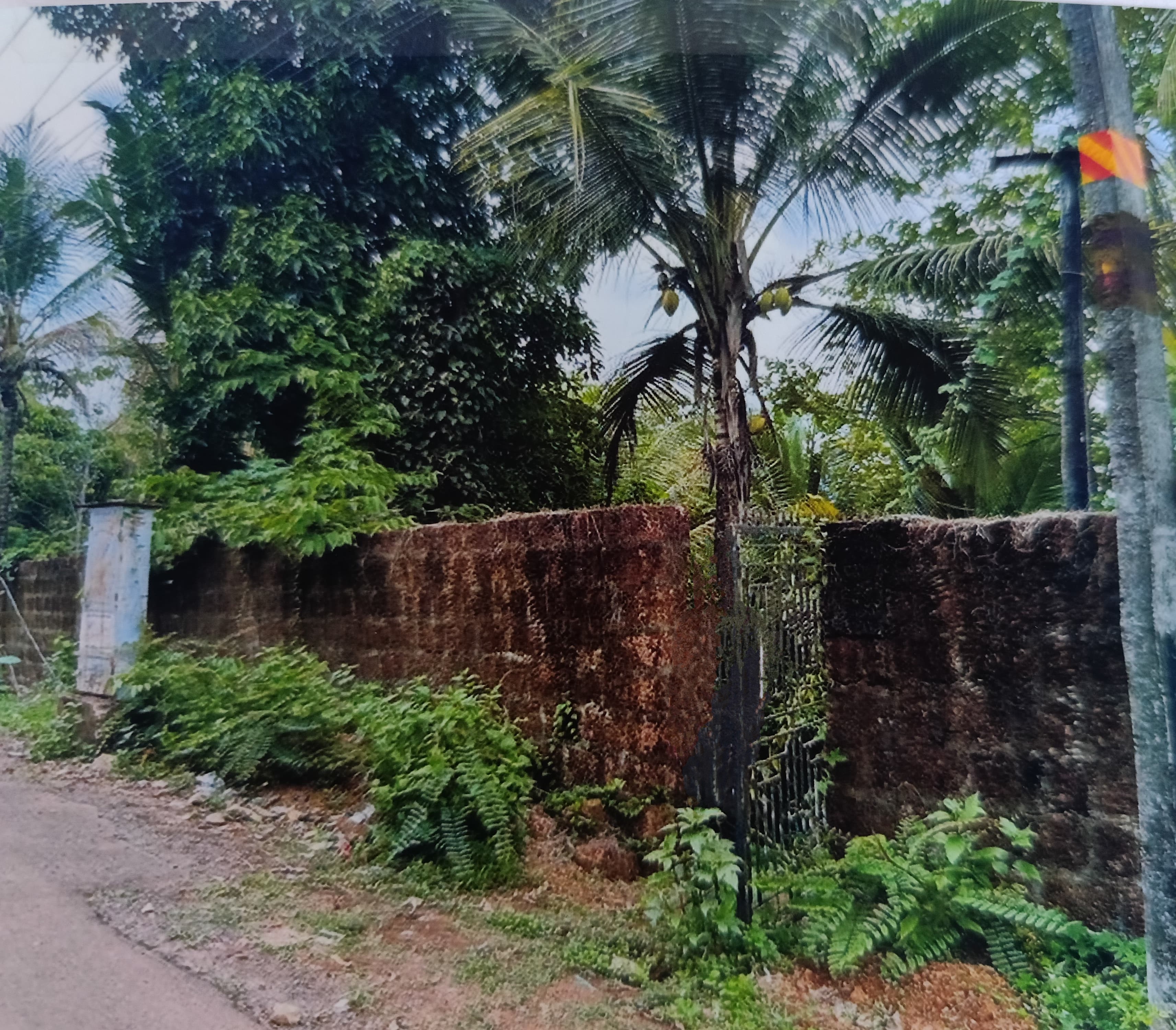 Plot for sale in Pariyaram — photo 5