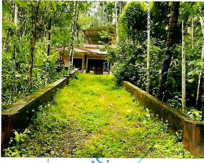 106.8 square meter Individual House for sale in Kayanna Amsom and Kayanna Desom of Koyilandy Taluk and Kozhikode District Eravattur — photo 1