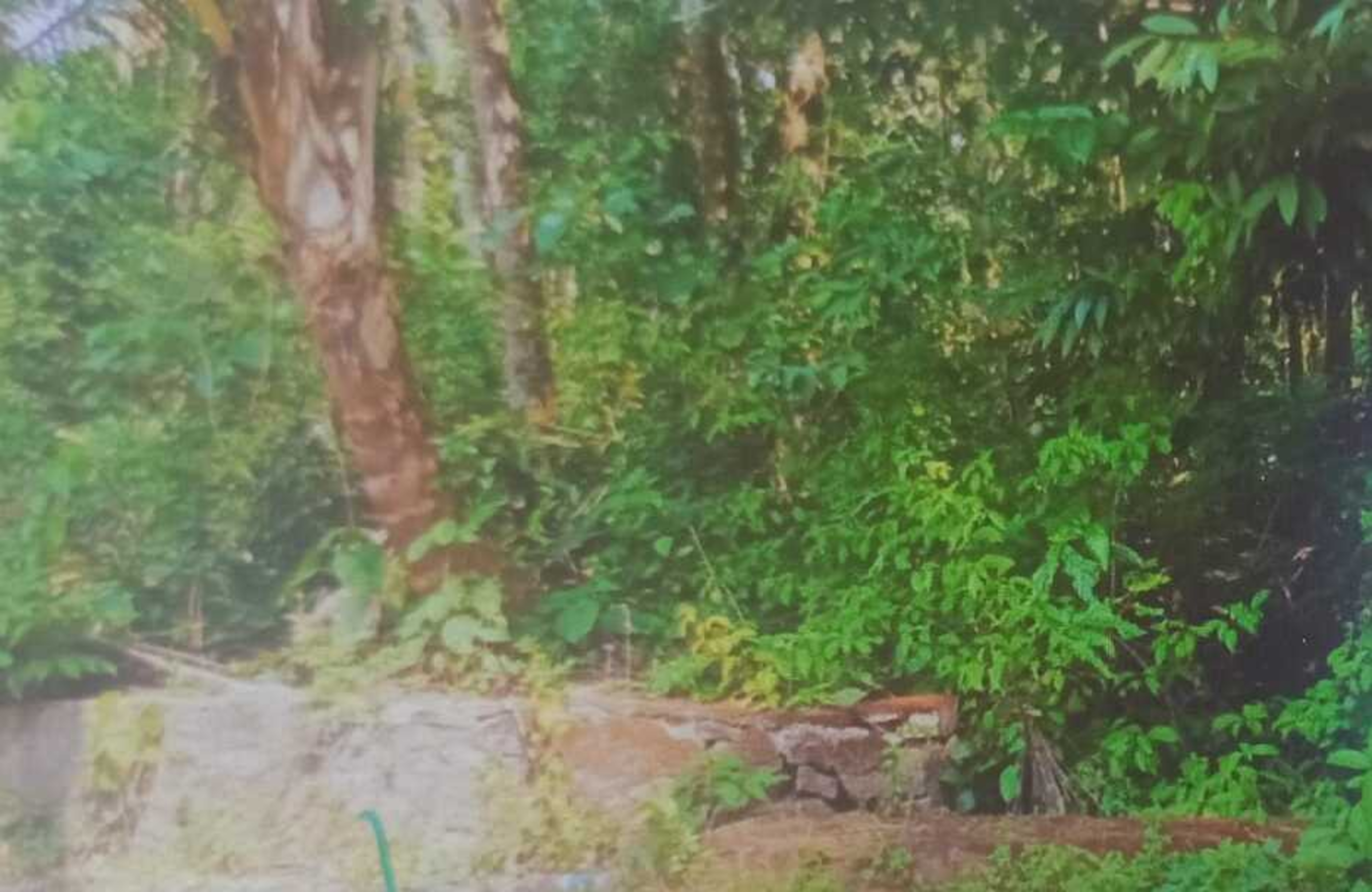 Plot for sale in Koyilandi — photo 5