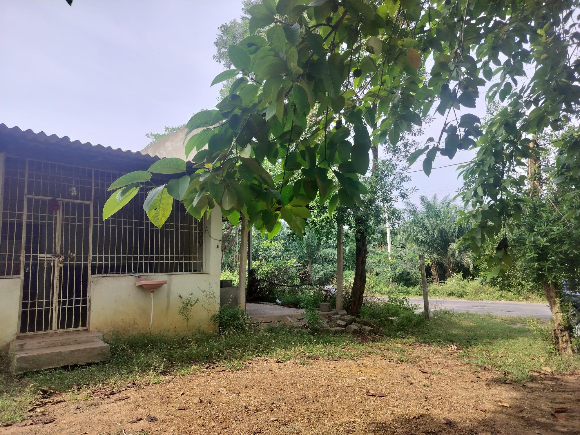 435.6 square yard Restaurant for sale in Bhimavaram — photo 4