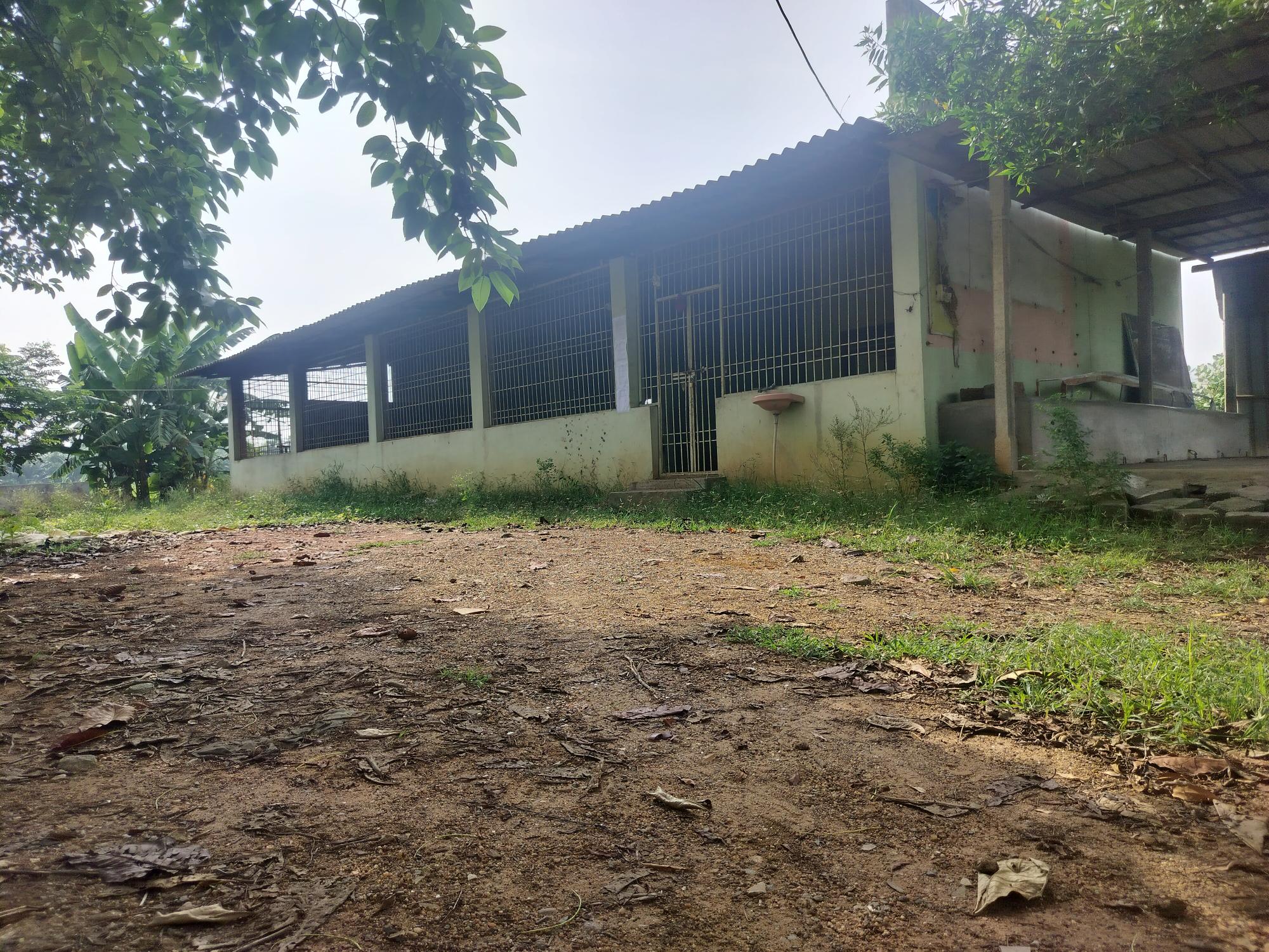 435.6 square yard Restaurant for sale in Bhimavaram — photo 1