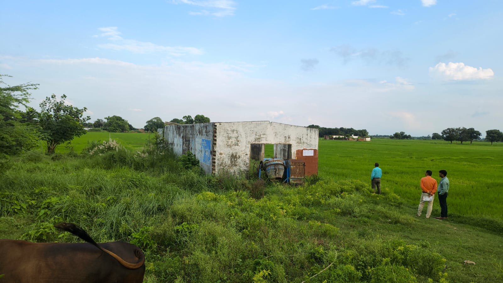 Individual House for sale in Shohratgarh — photo 2