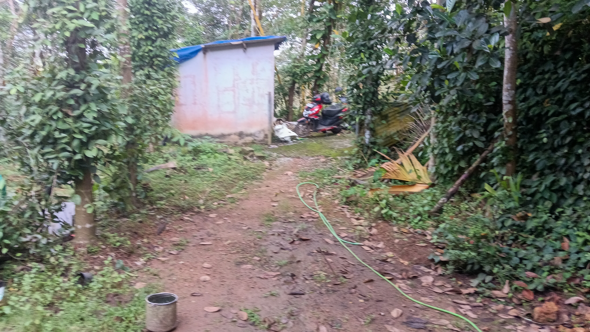 Individual House for sale in Karakulam — photo 2