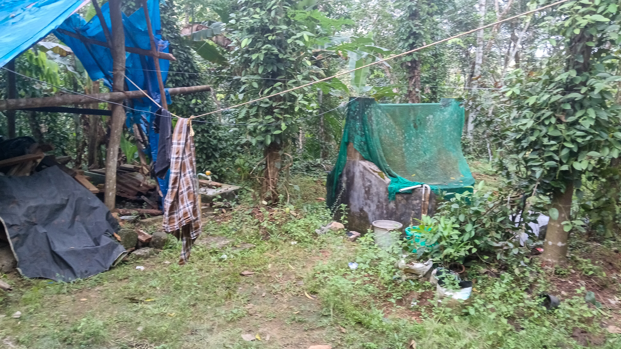 Individual House for sale in Karakulam — photo 3