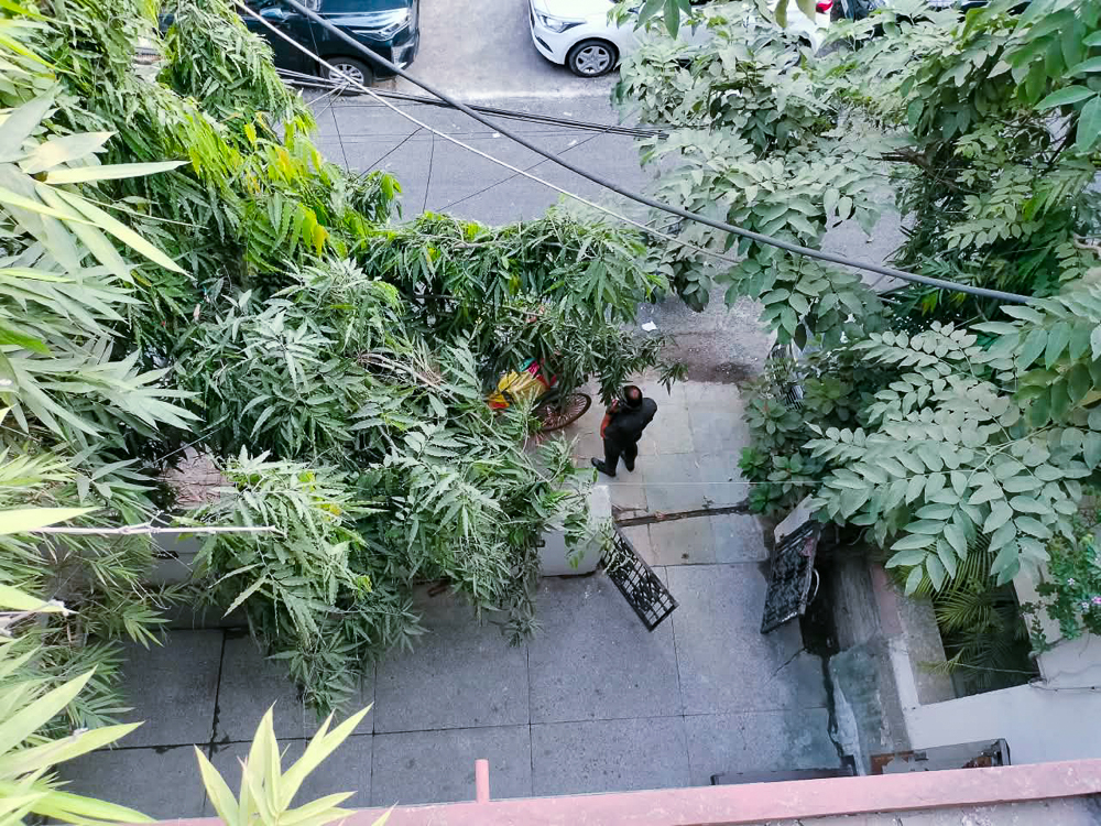 2 BHK Flat for sale in H -5 second floor Block H South Ext New Delhi, South Extention Part-1 New Delhi New Delhi — photo 19