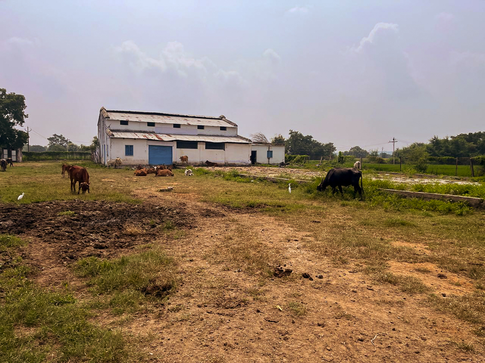 2806.91 square feet Shed with Plant and Machinery for sale in H NO 5-114 G.P. TIN NO 663 LIES IN SY NO 908/B MAHADEV INDUSTRIES WAJIDNAGAR DISTRICT NIZAMABAD Nizamabad — photo 4