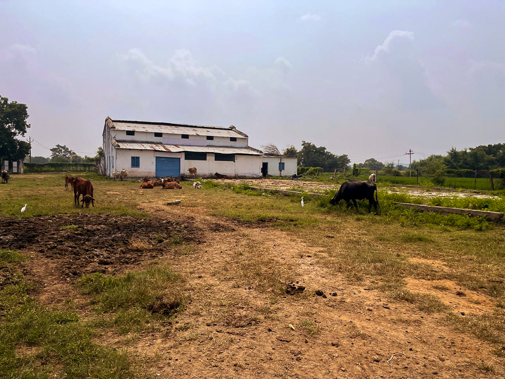 2806.91 square feet Shed with Plant and Machinery for sale in H NO 5-114 G.P. TIN NO 663 LIES IN SY NO 908/B MAHADEV INDUSTRIES WAJIDNAGAR DISTRICT NIZAMABAD Nizamabad — photo 5