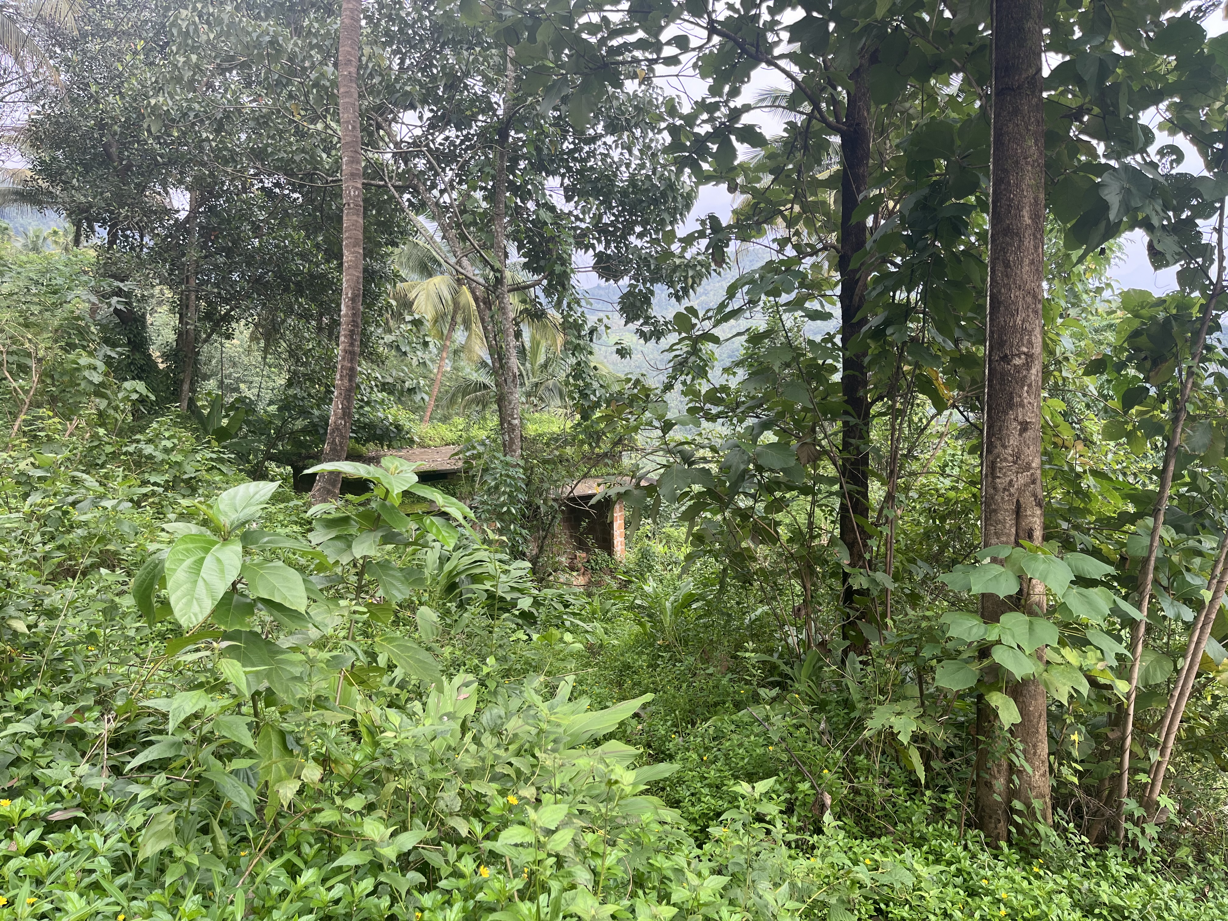 Individual House for sale in Taliparamba,kannur Sreekantapuram — photo 2