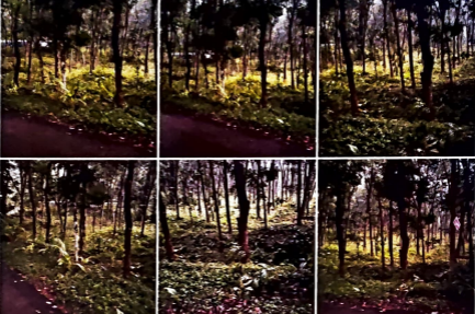 Plot for sale in Ettumanoor — photo 3