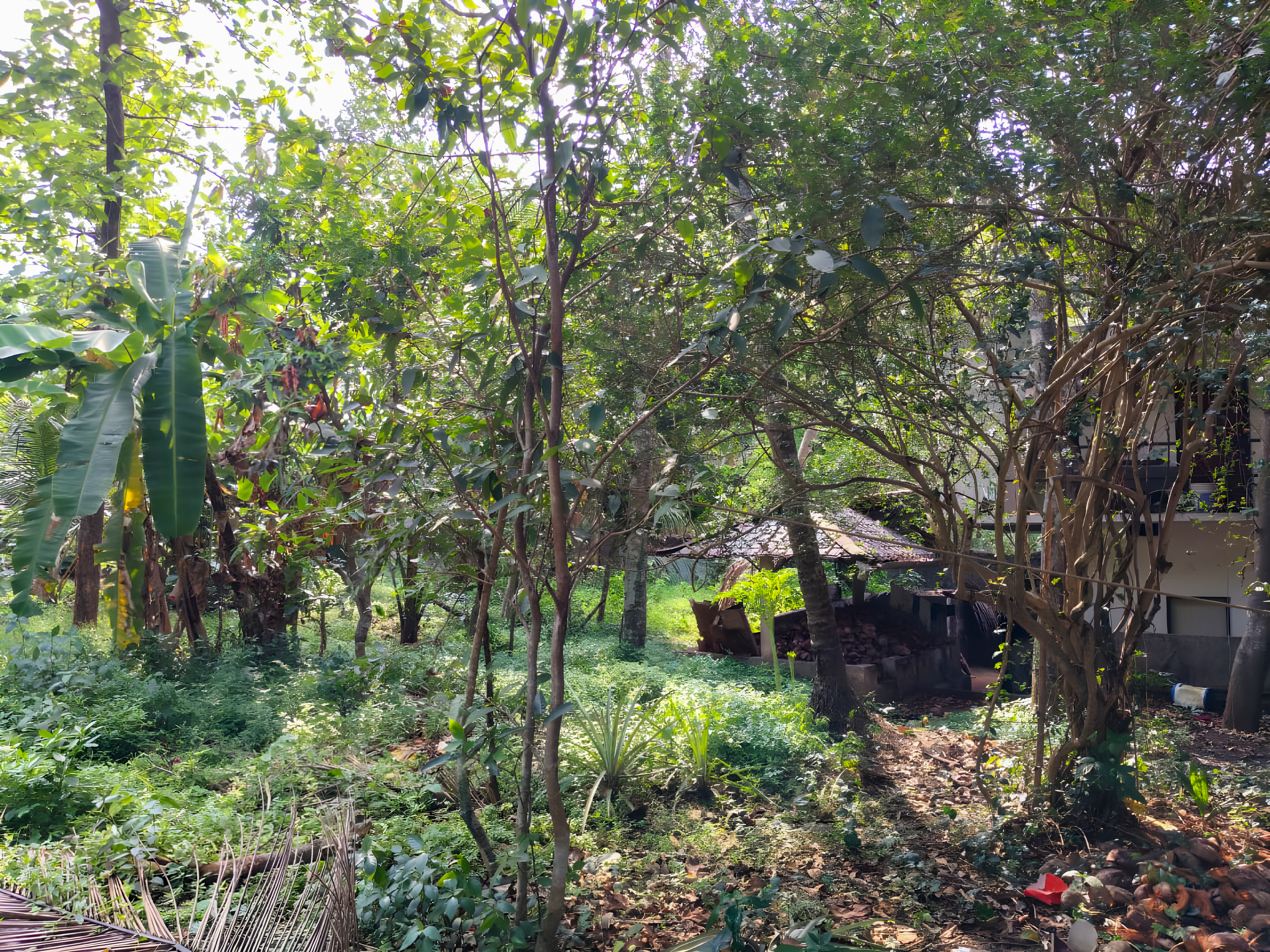 5000 square feet Individual House for sale in Malappuram — photo 2