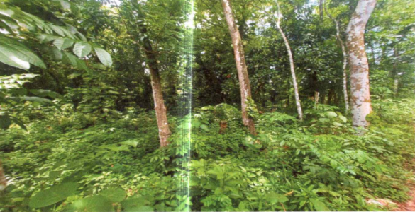 1782 square meter Plot for sale in Malayinkeezhu
