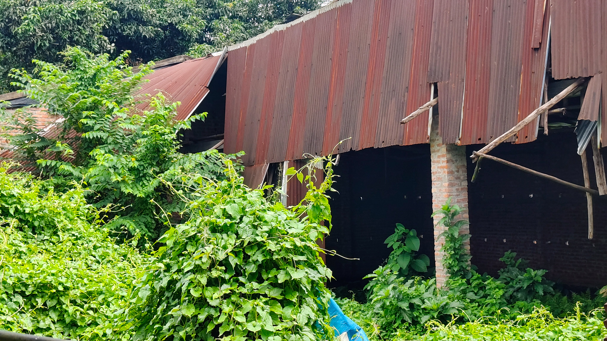 Godowns for sale in Bara — photo 4