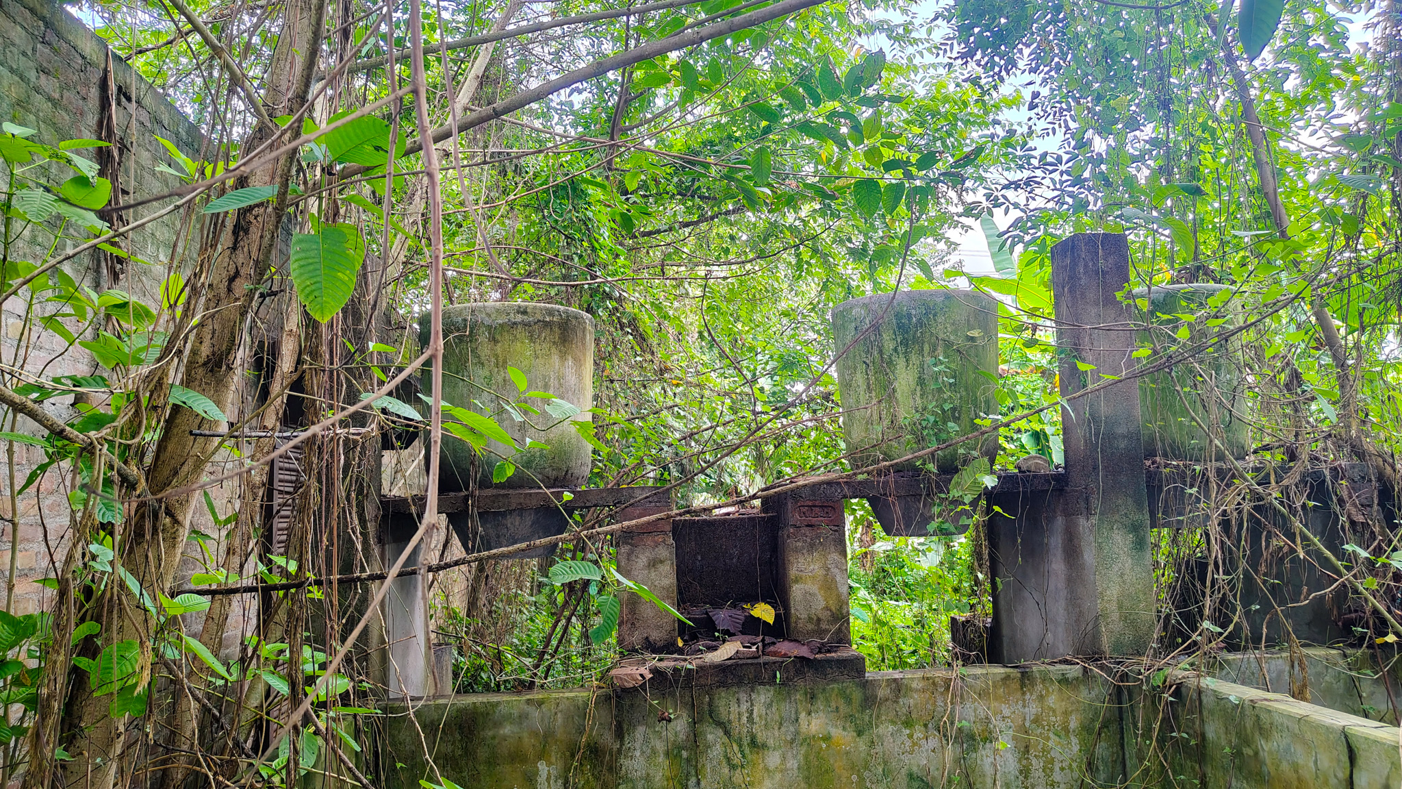 Godowns for sale in Bara — photo 6